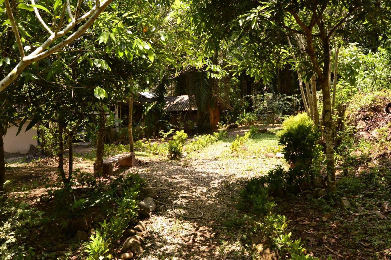 Eco-Logic, Resort For Charity Phato エクステリア 写真