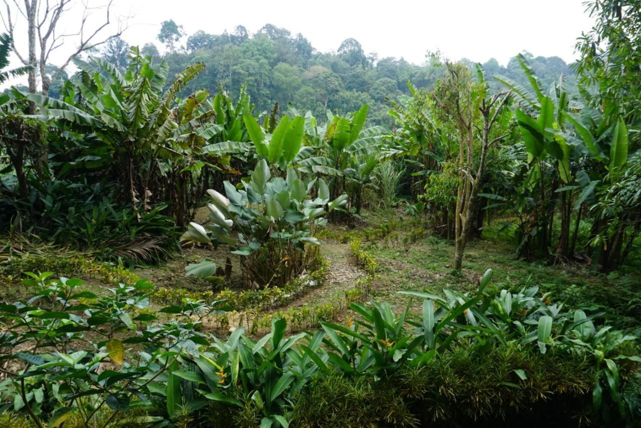 Eco-Logic, Resort For Charity Phato エクステリア 写真