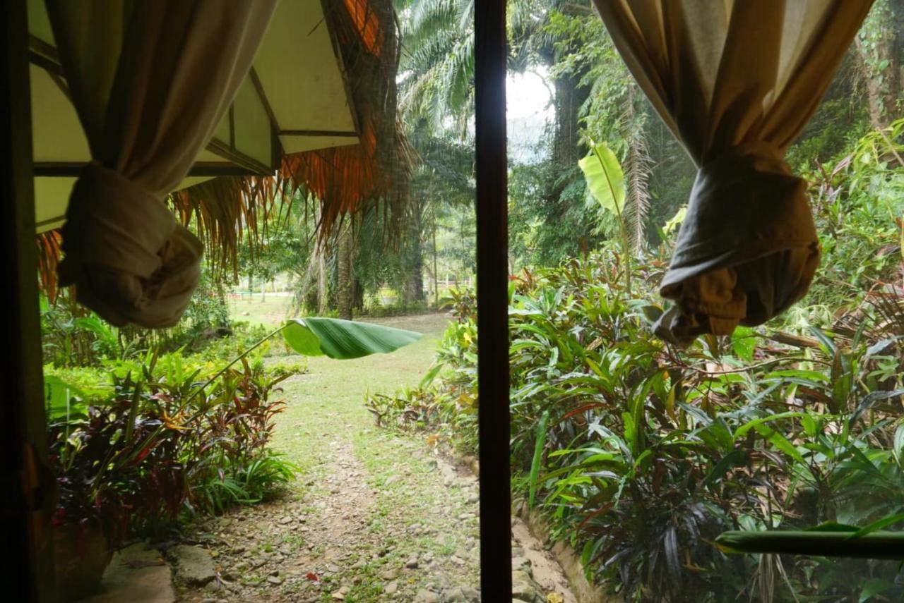 Eco-Logic, Resort For Charity Phato エクステリア 写真
